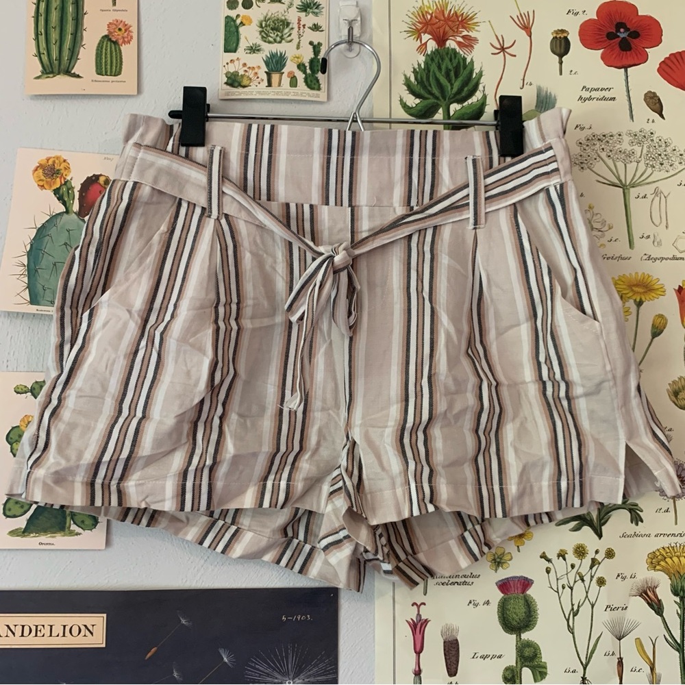 Harmony + Havoc Shorts